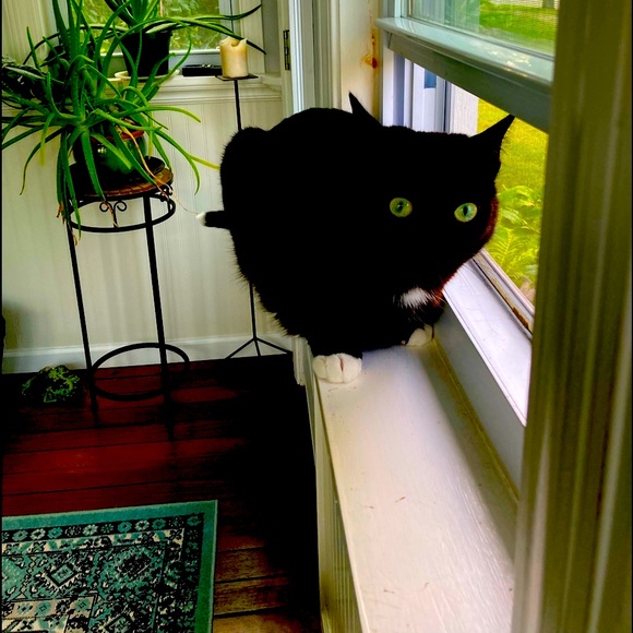 Meet your Posher, Claire - Picture 1 of 1